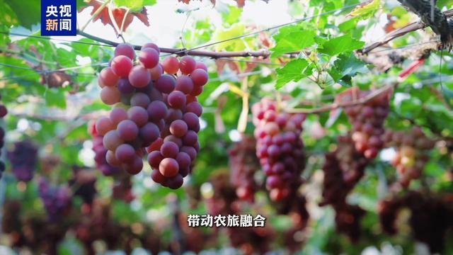 15分钟 “亲水经济”悄悄长大