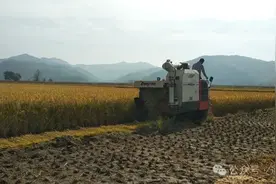 通化：筑牢粮食稳产保供“压舱石”，粮食综合生产能力不断提升图片