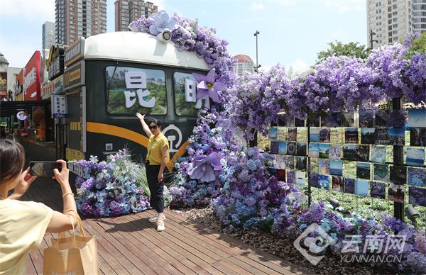 盛夏入伏时节 清凉春城引客来