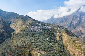 【甘快看】新华全媒+·奋进强国路 阔步新征程丨甘肃陇南：百万亩油橄榄采摘开榨图片