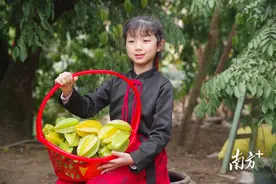 杨桃，一种只听到名字就让人流口水的水果图片