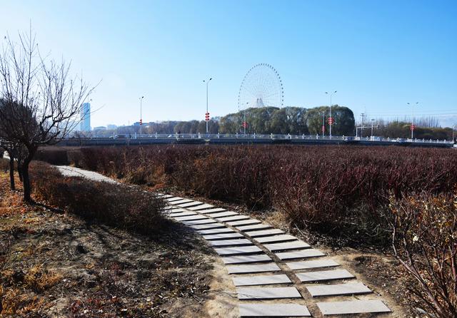 组图 | 凉州冬韵：霜凝湖光 苇摇清柔