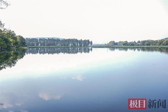 澄澈如镜子，官桥湖正在悄然变身