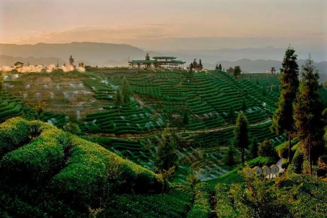 全川“秋假”看名山！这份“亲子游”全攻略，承包你的诗与远方！