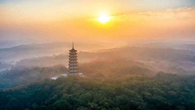 藏不住了！看一眼就“沦陷”！