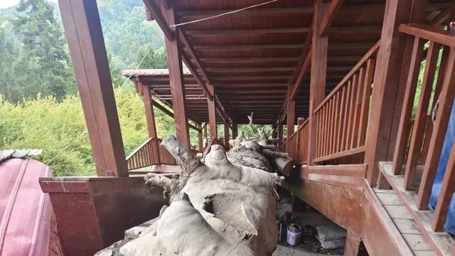 首阳山旅游攻略