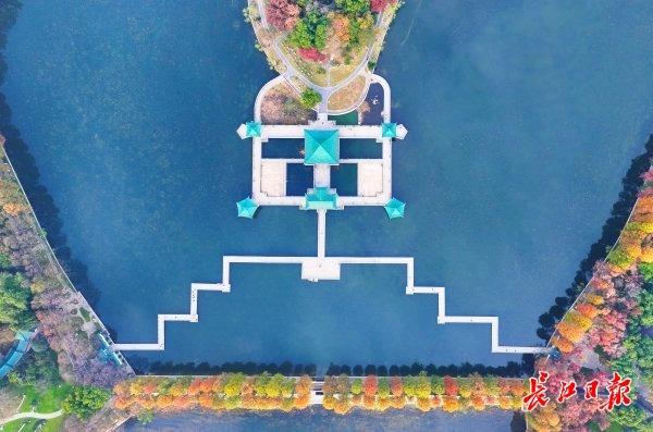 初冬武汉，一半烟火一半诗画