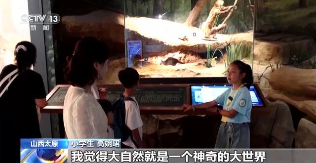 暑期“文博热”各地博物馆推出多元体验新玩法