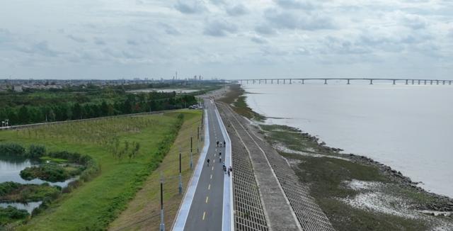 用车轮丈量“鲜”味！启东“最鲜公路”骑行盛宴燃动江海