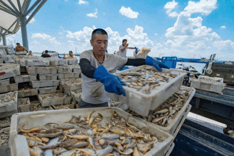 景区“第二现场”就绪！啤酒、美食、海鲜、烟花……“苏超”之夜快乐加倍