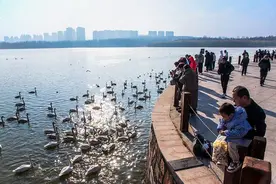 河南乡村振兴：拍白天鹅哪里去 黄河岸边摄影村好风景图片
