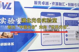 从一篇论文到一家科创企业！光谷实验室为科研成果“上货架”护航……图片
