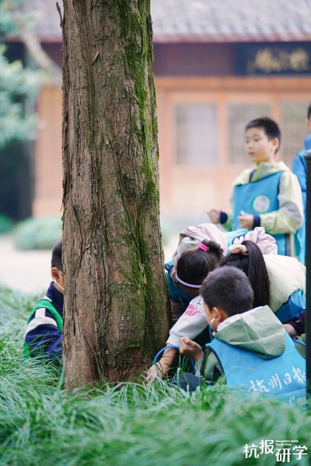 12.07 独立营｜冬日寻羽记：解码西湖候鸟的越冬密码！鸟类专家带队，探秘茅家埠“鸟类天堂”，体验听声辨鸟、飞羽寻踪的野趣周末！