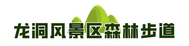 一城山色·泉城绿道 | ③大千佛山片区及周边景区绿道连通惠及广大市民