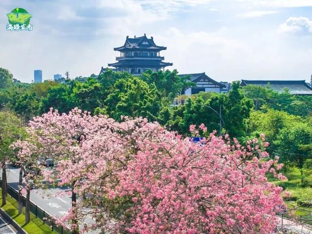 没想到，广州这里藏着“时空隧道”
