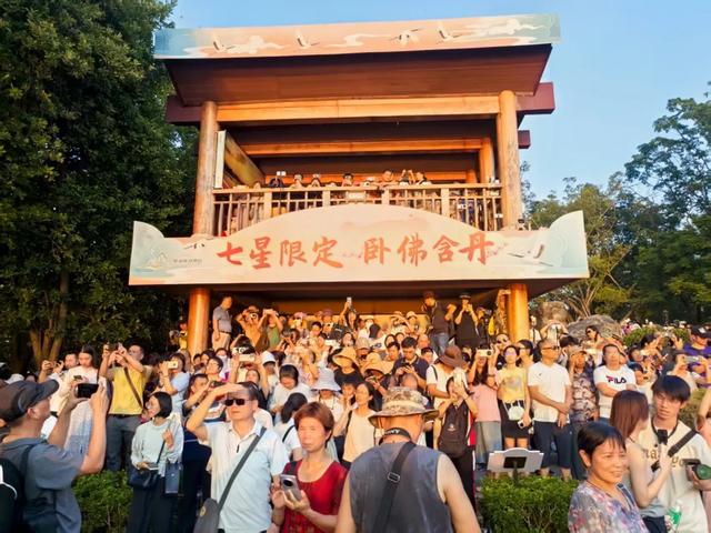 火上热搜！星湖“卧佛含丹”持续刷屏，游客量暴增200%！