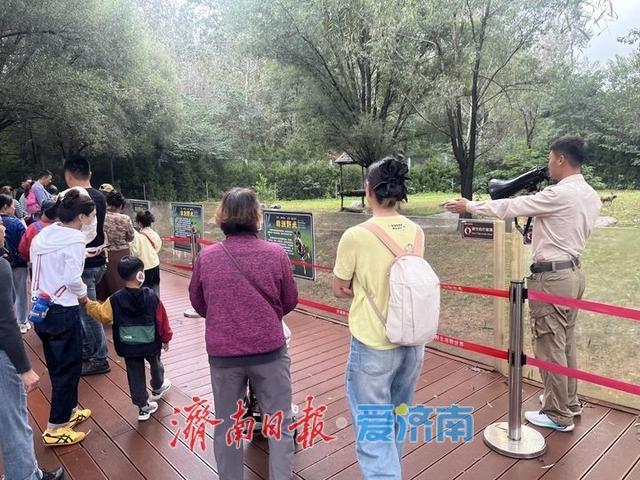 雨中庆华诞 服务铸匠心 济南野生动物世界奏响文旅高质量发展强音