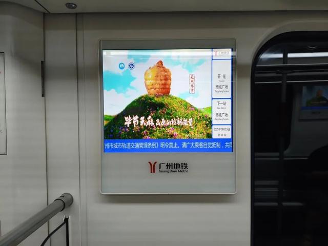 覆盖近3亿人次！广州、重庆、贵阳已上线