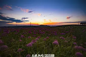 代表请回答｜打好“三张牌”，“洼地”变“高地”图片