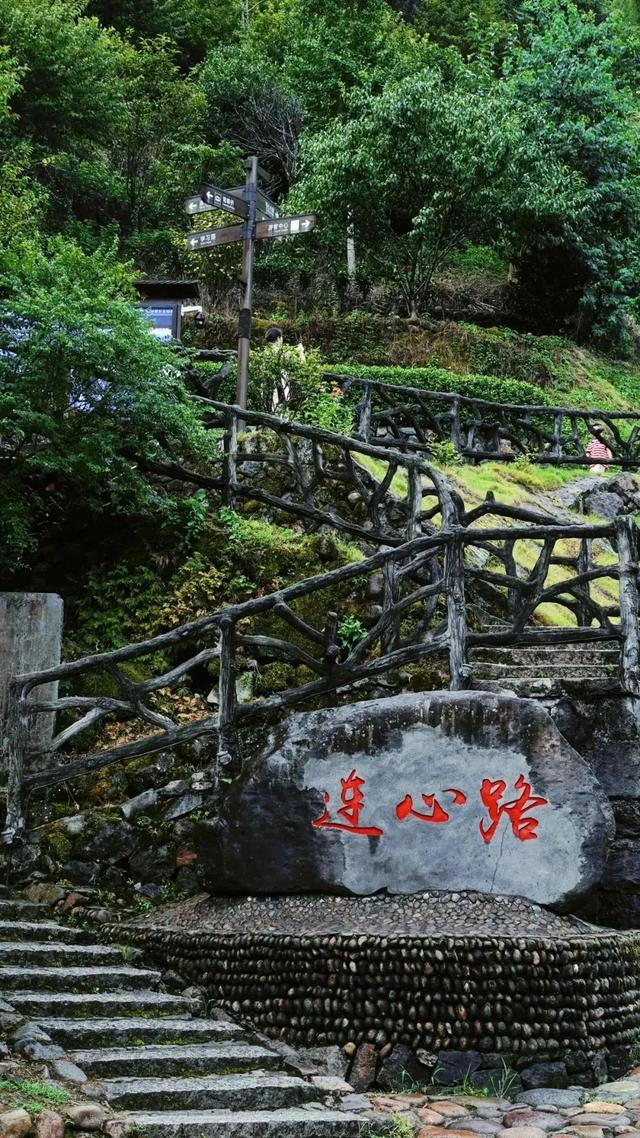 热热热！明代文豪笔下“山多云易生”的清凉结界！24.6℃，2天1夜，马上出发~