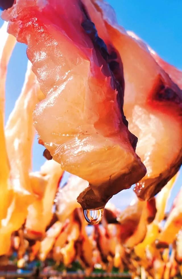 文化中国行·小雪 | 岭南微寒启冬韵，赛场驰骋展锋芒