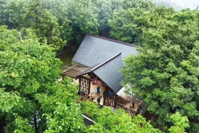 来游子山，开启一趟治愈之旅