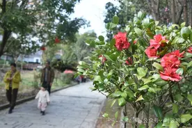 春花灿烂，凯里这些地方美出圈 | 发现凯里图片
