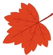 青睐绵阳 ‖ 层林尽染，枫顺邀你共赴红叶之约