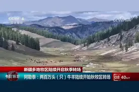 新疆多地牧区陆续开启秋季转场 当地政府工作人员“护航”保安全图片