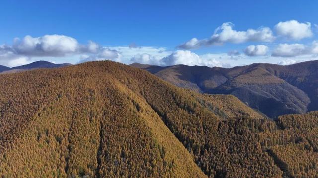 金秋五台山 醉美山色入画来