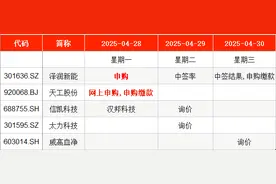 IPO周报｜4月最后2只新股周一申购，今年以来最低价股来了图片