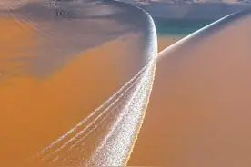 交叉潮邂逅潮汐树图片