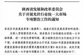 陕西开展光伏专项整治工作：强制产业配套、暂停分布式备案等六大类图片