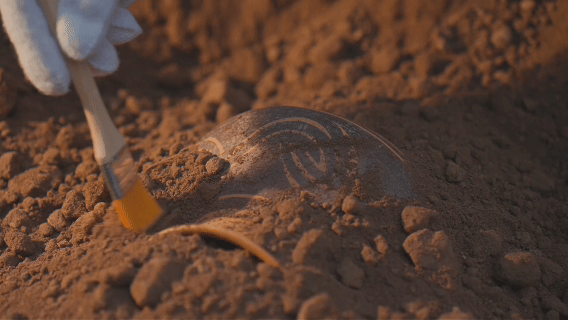 经济政策一线微观察｜跟着兴趣去旅行：“知识型体验消费”为何走红？