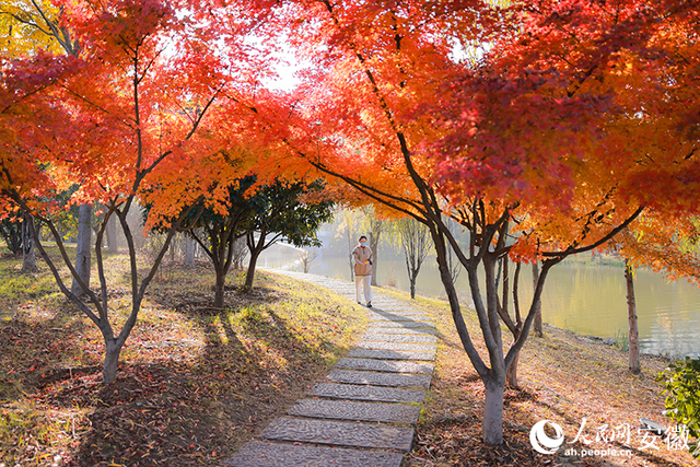 阜阳上扬③丨一马平川地，何以火出圈
