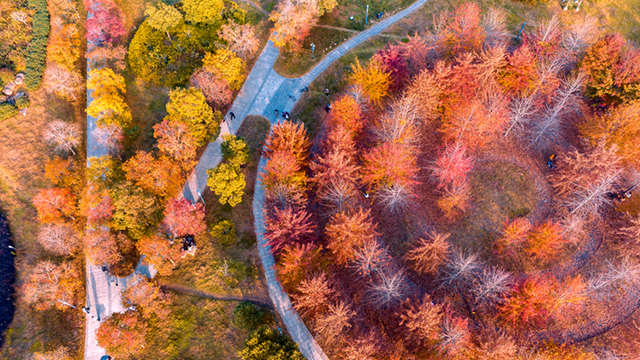 图说遂平：丹霞碧水缤纷色 层林尽染锦绣图
