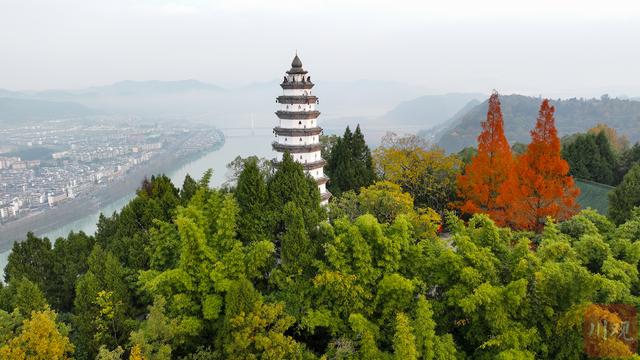 C视觉丨藏不住了 阆中冬日绝美日出，白塔、水杉、晨雾同框 画面太治愈