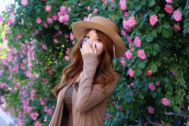 威海市区最美蔷薇花墙“爆火”，好多人跑老远赶来打卡~