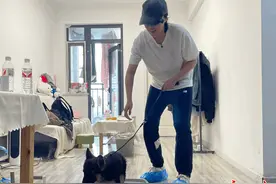 800元请人教狗上厕所，越来越多武汉人愿意花这笔钱图片