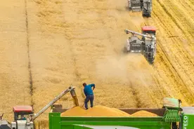 蓄足“水动力” 多地抗旱保粮一线观察图片