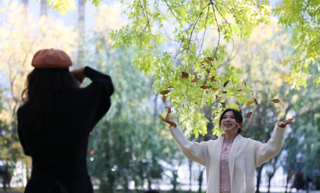 秋声渐杳 斑斓成诗