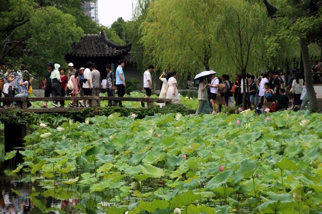 江苏苏州：园林迎来暑期旅游高峰