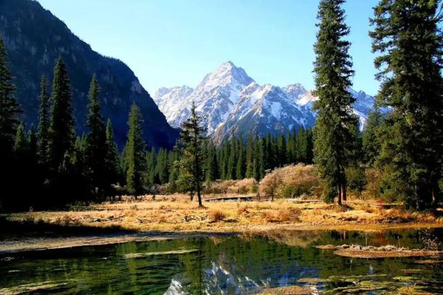 青睐绵阳 ‖ 雪山彩林上线！去平武王朗赴一场金秋视觉盛宴~