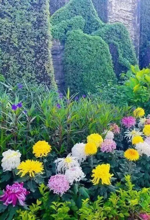 多彩京秋各区巡游丨丰台区启动“花园城市 丰彩秋韵”系列活动，七大主题邀市民共赏金秋！