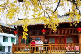 湖北咸丰：古银杏身披“金甲”引客来图片