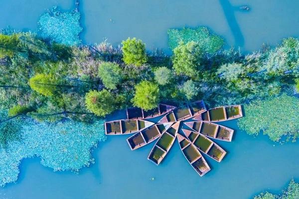 新鲜出炉！金山实用漫游指南，邀你赴山海古镇烟火免费畅玩之旅