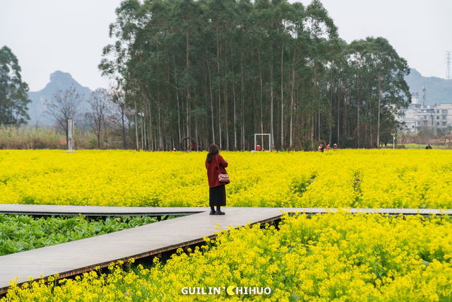 来桂林跑马怎么跟着赛道玩？看这个就够了～在山水画卷中奔跑，解锁 “甲天下” 的独特赛道！