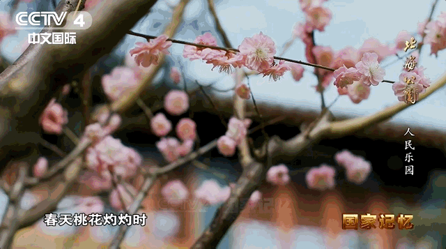 北海公园：传承中华文明，滋润万千心灵