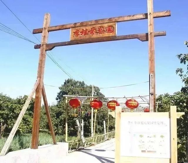 十一来商河，七彩文旅线路总有一条适合你