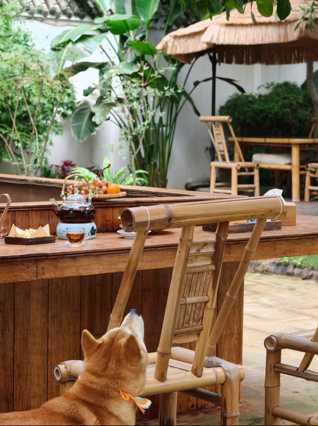 冬日搭子上线！青白江「围炉煮茶」好去处，等你来打卡→